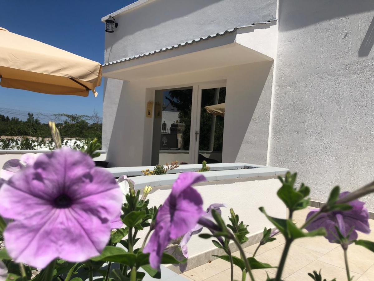 Casa Vacanza I Cedri Мартіна-Франка Екстер'єр фото